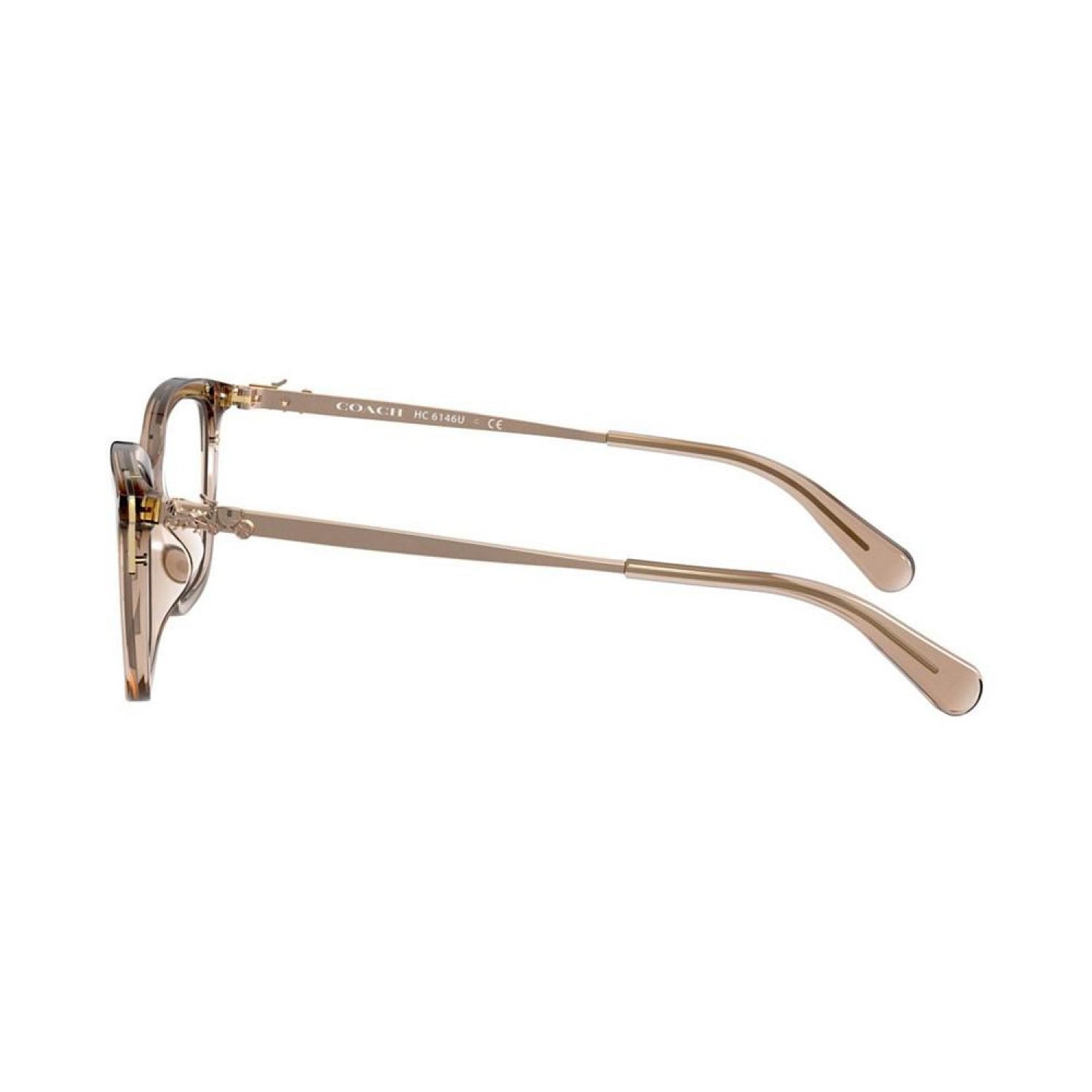 HC6146U Women's Butterfly Eyeglasses