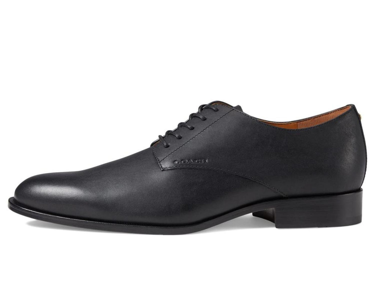 Sculpt C Derby