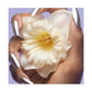 Perfect Eau de Toilette, 3.3 oz.