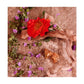 Daisy Paradise Limited-Edition Eau de Toilette, 1.6 oz.