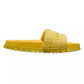 The Terry Logo Slides