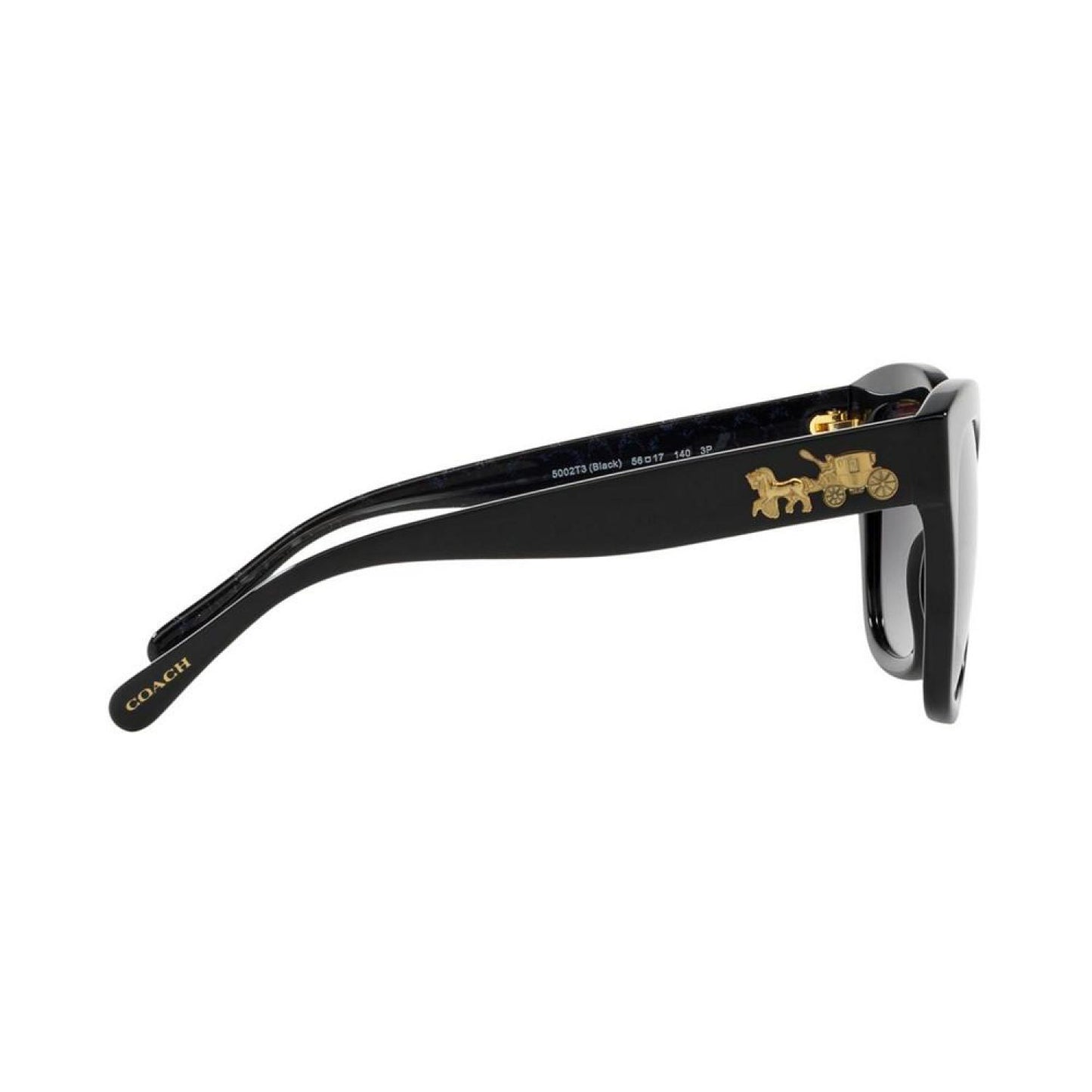 Polarized Sunglasses, HC8264 56 L1083