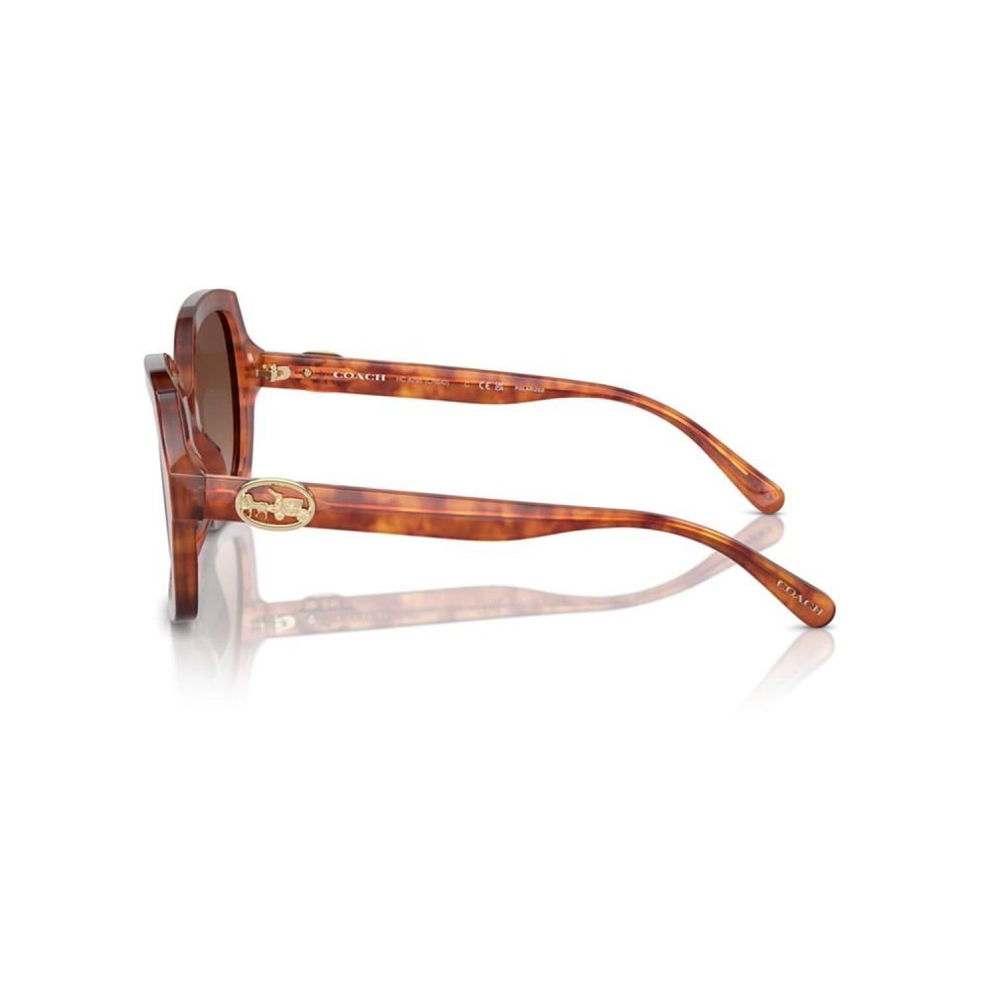 Women's Polarized Sunglasses, L1147 Hc8295