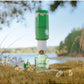 Daisy Wild Eau de Parfum