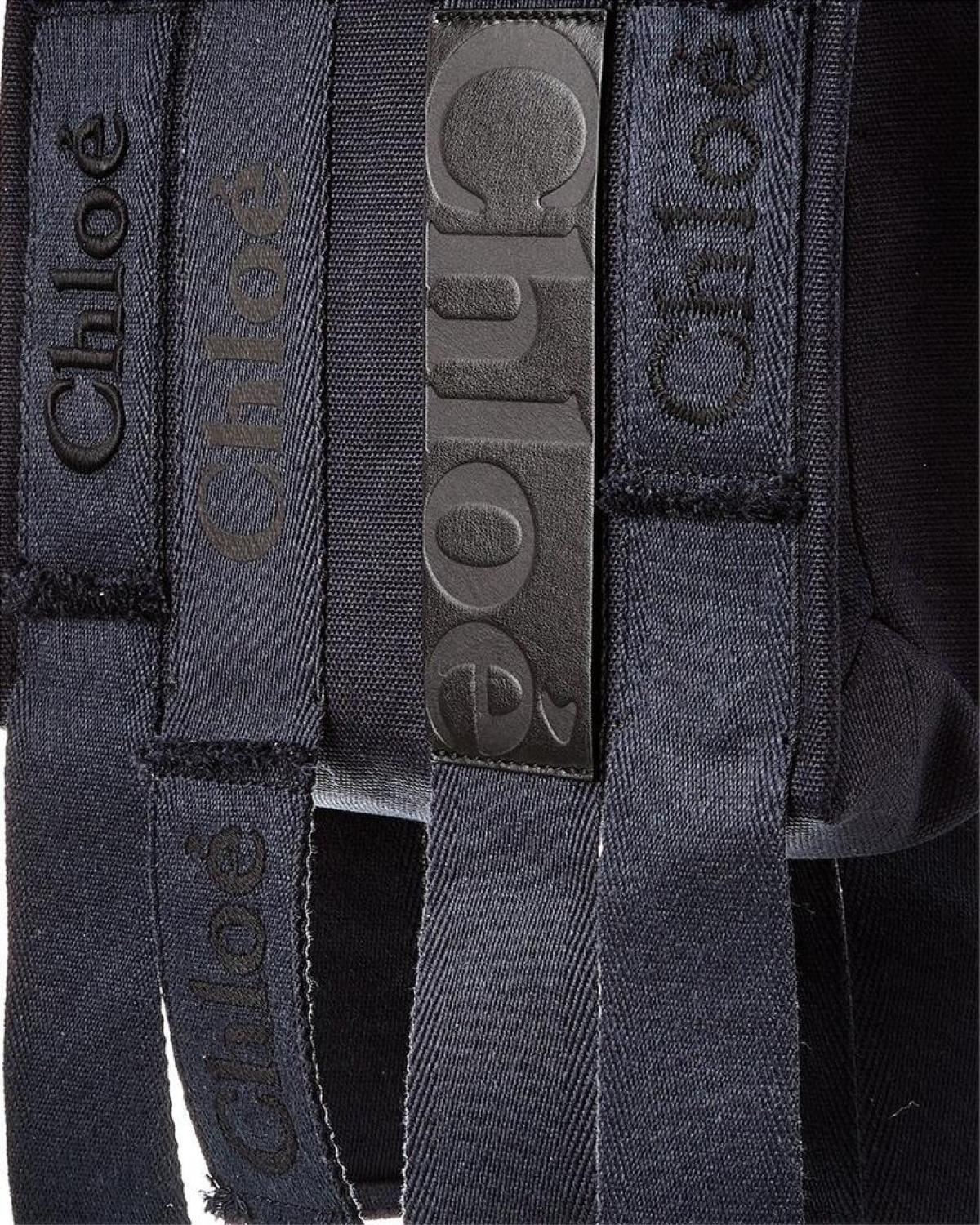 Chloé Woody Small Canvas & Leather Tote