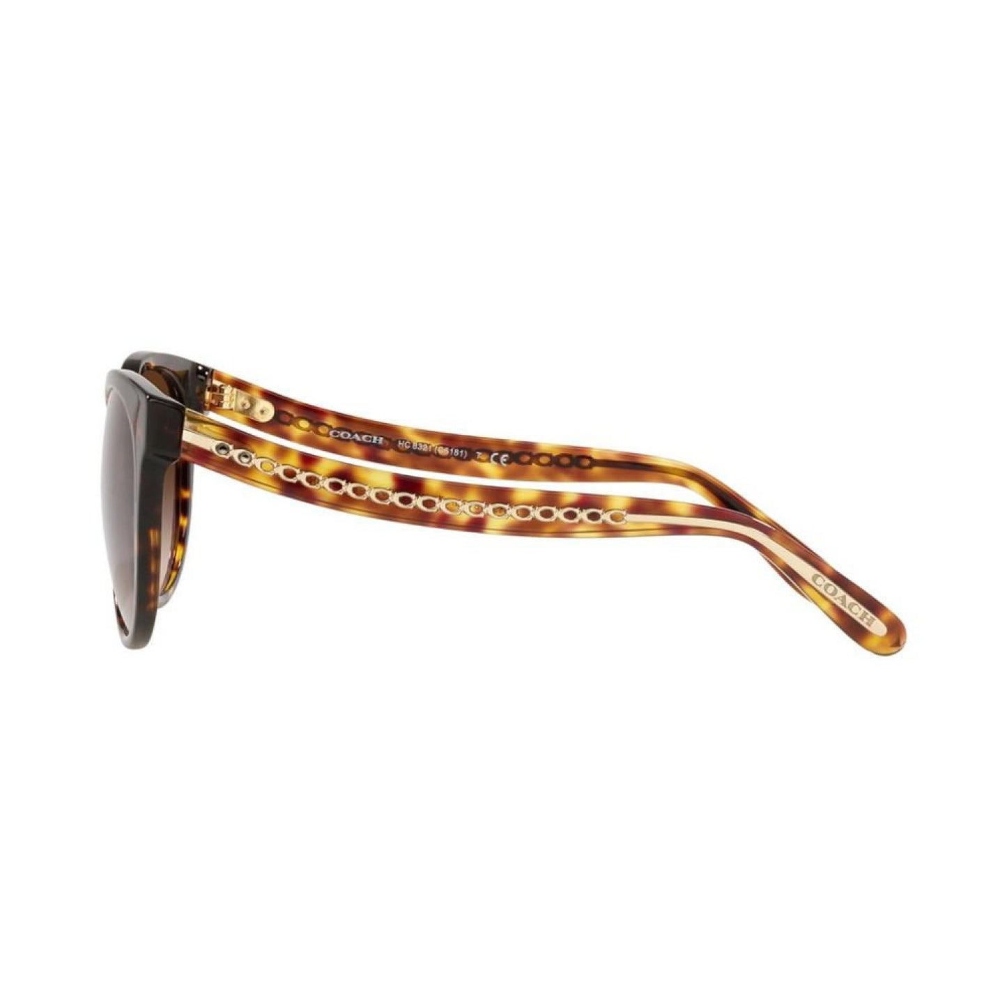Women's Sunglasses, HC8321 55