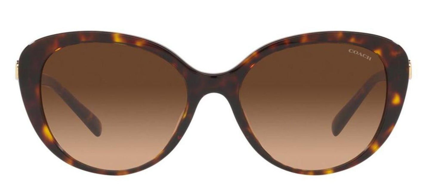 Coach 0HC8348U 512074 Cat Eye Sunglasses
