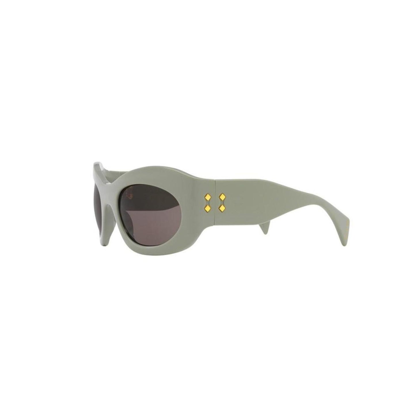 Unisex Sunglasses, Gg1463S Gc002155