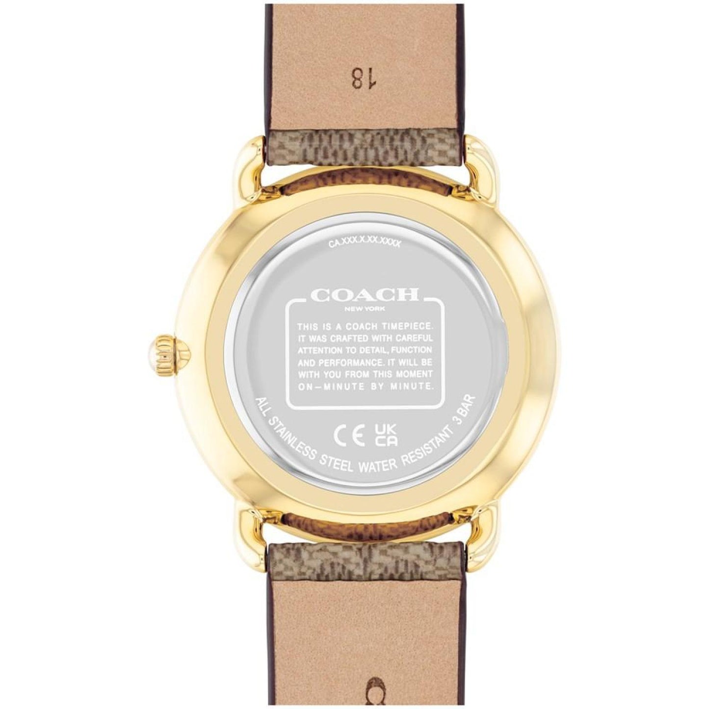 Women's Elliot Signature Tan Canvas Strap Watch, 36mm