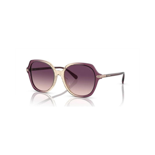 Women's CL925 Sunglasses, Gradient HC8377U