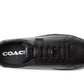 Lowline Leather Low Top