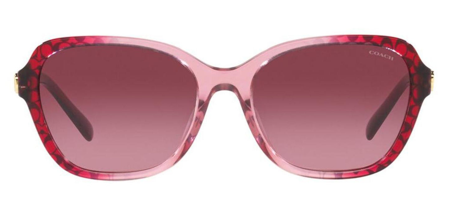 Coach 0HC8349U 57098H Butterfly Sunglasses