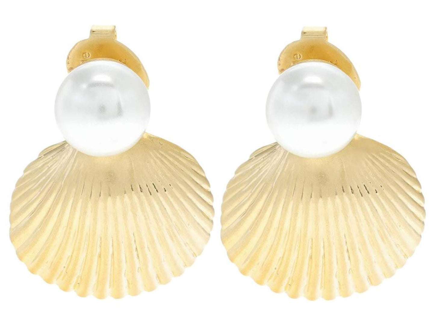 Reef Treasure Shell Studs Earrings