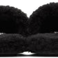 Black 'The J Marc' Teddy Sandals