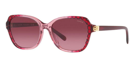 Coach 0HC8349U 57098H Butterfly Sunglasses