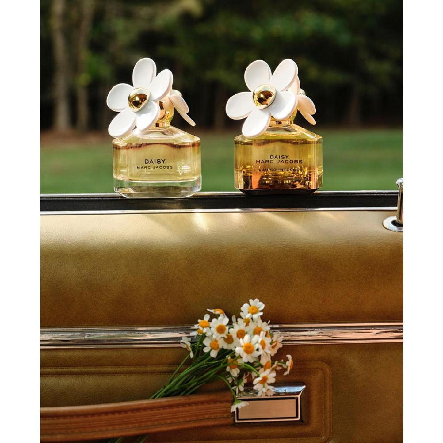 Daisy Eau So Intense Eau de Parfum Spray, 3.4-oz.