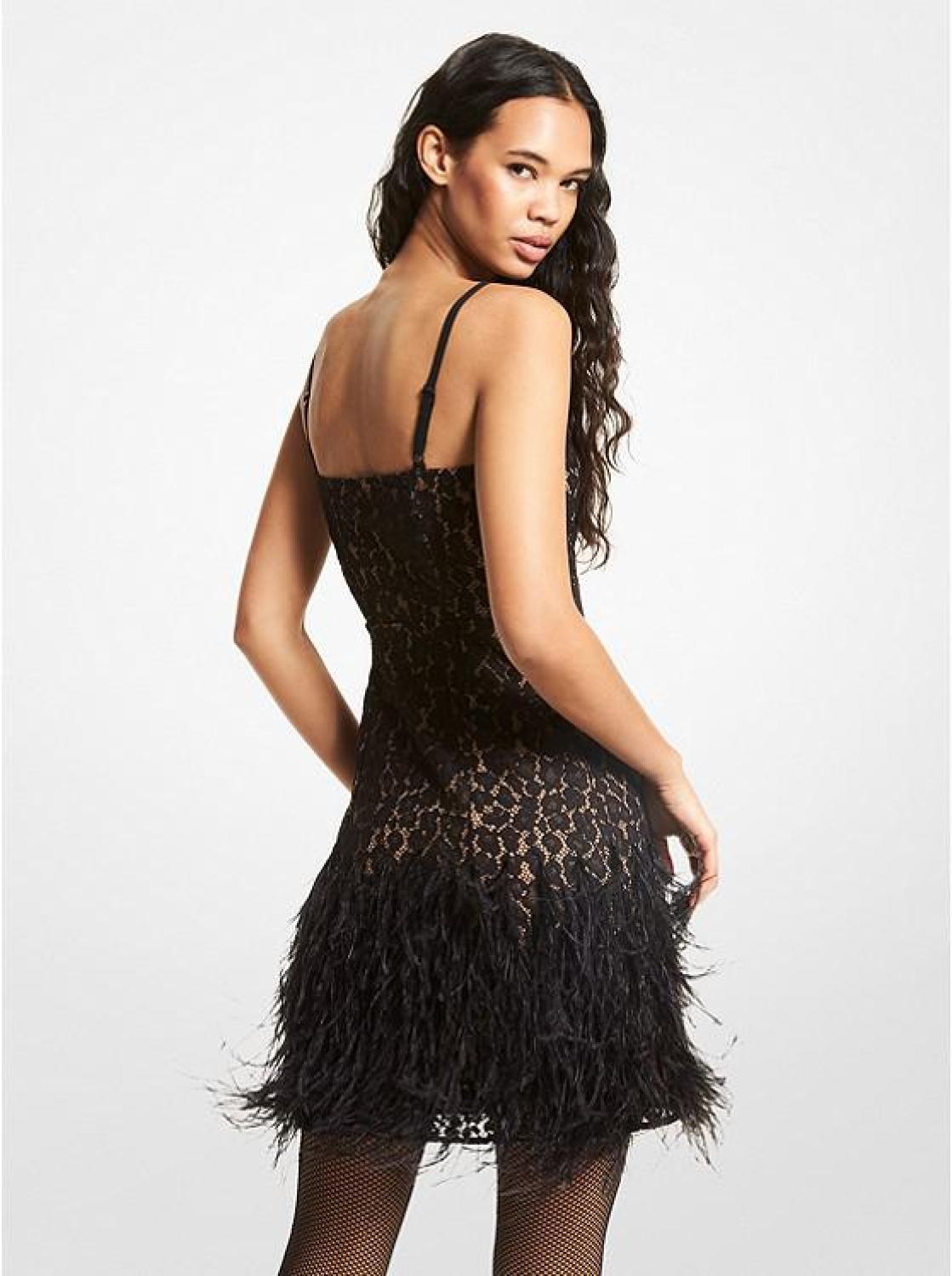 Feather Embellished Corded Lace Dress