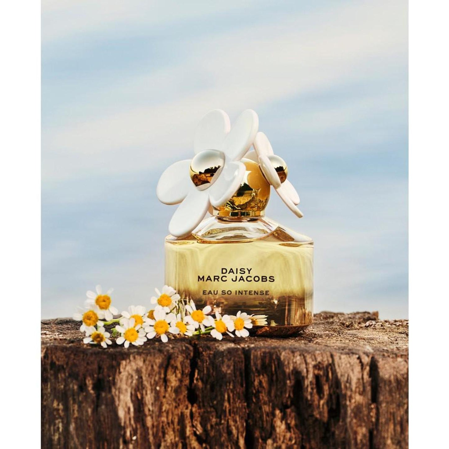 Daisy Eau So Intense Eau de Parfum Spray, 3.4-oz.