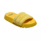 The Terry Logo Slides