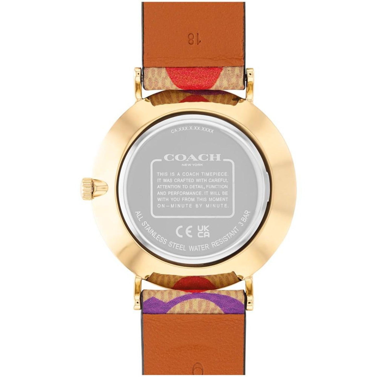 Women's Perry C's Multicolor Canvas Strap Watch, 36mm