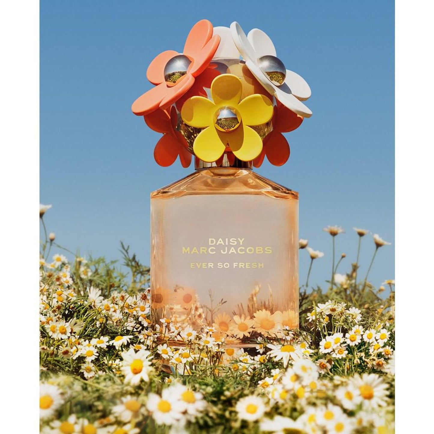 Daisy Ever So Fresh Eau de Parfum Spray, 4.2 oz.