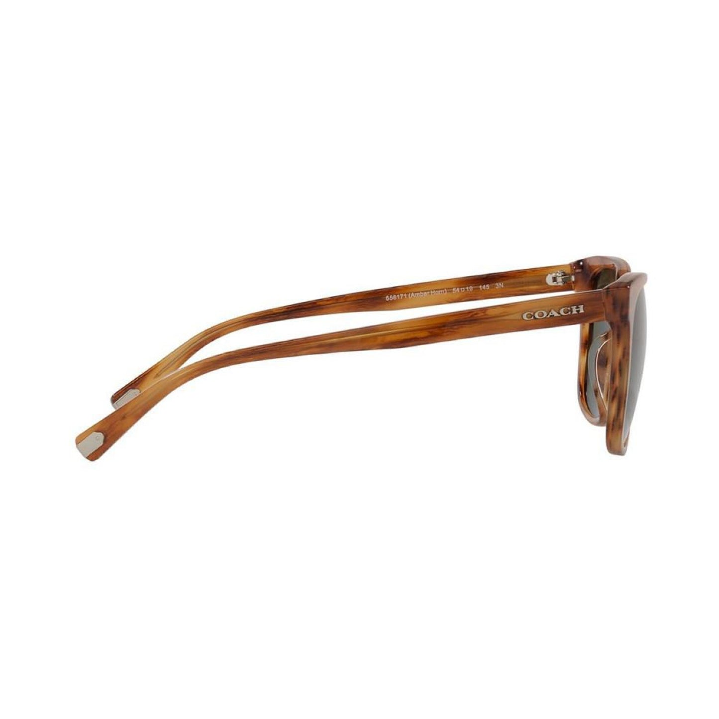 Sunglasses, HC8313U 54 C2095