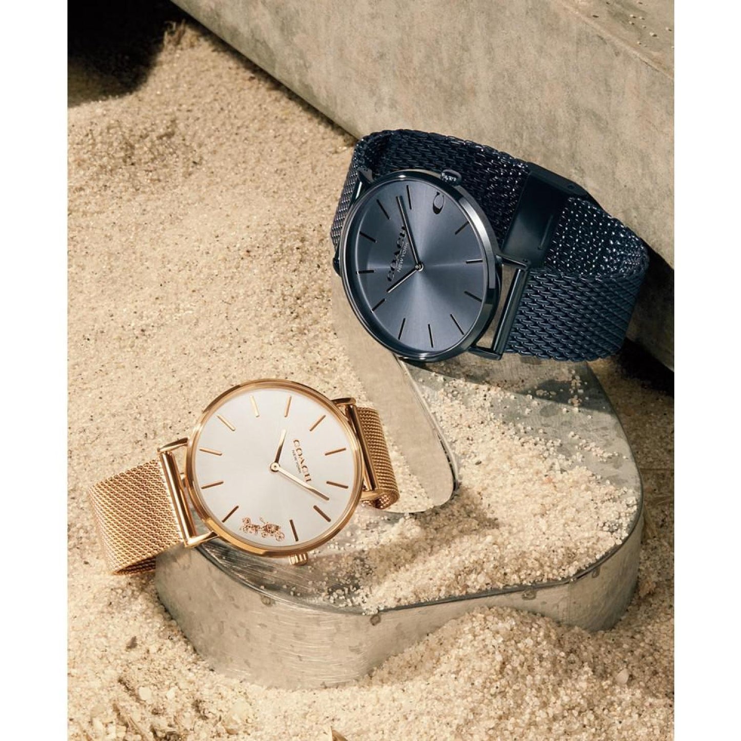Men's Charles Stainless Steel Mesh Bracelet Watch