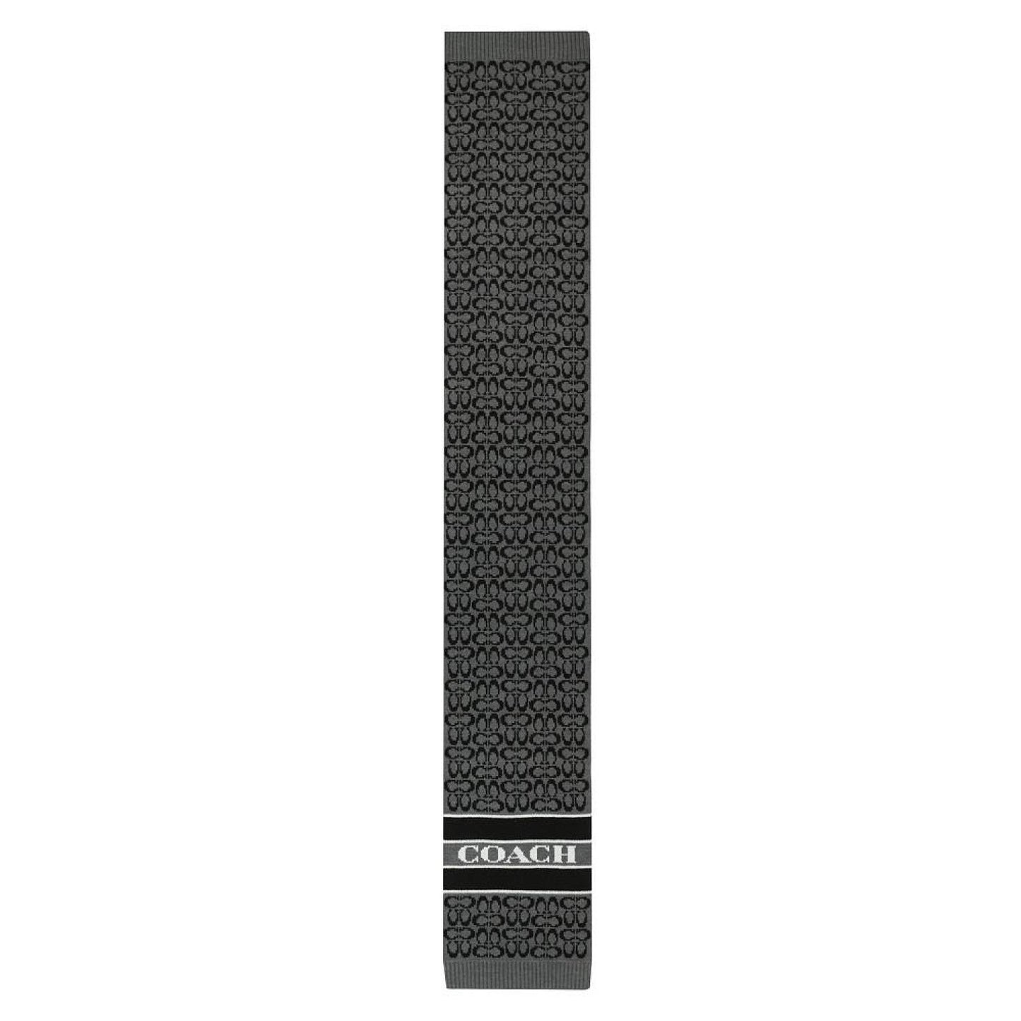 Women's Signature Logo Wool-Blend Rib Knit Scarf