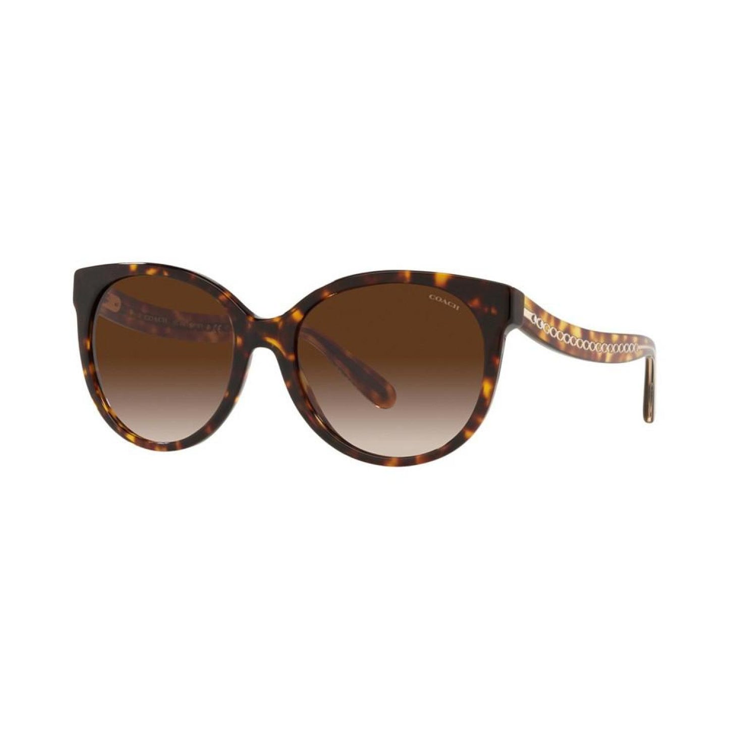 Women's Sunglasses, HC8321 55