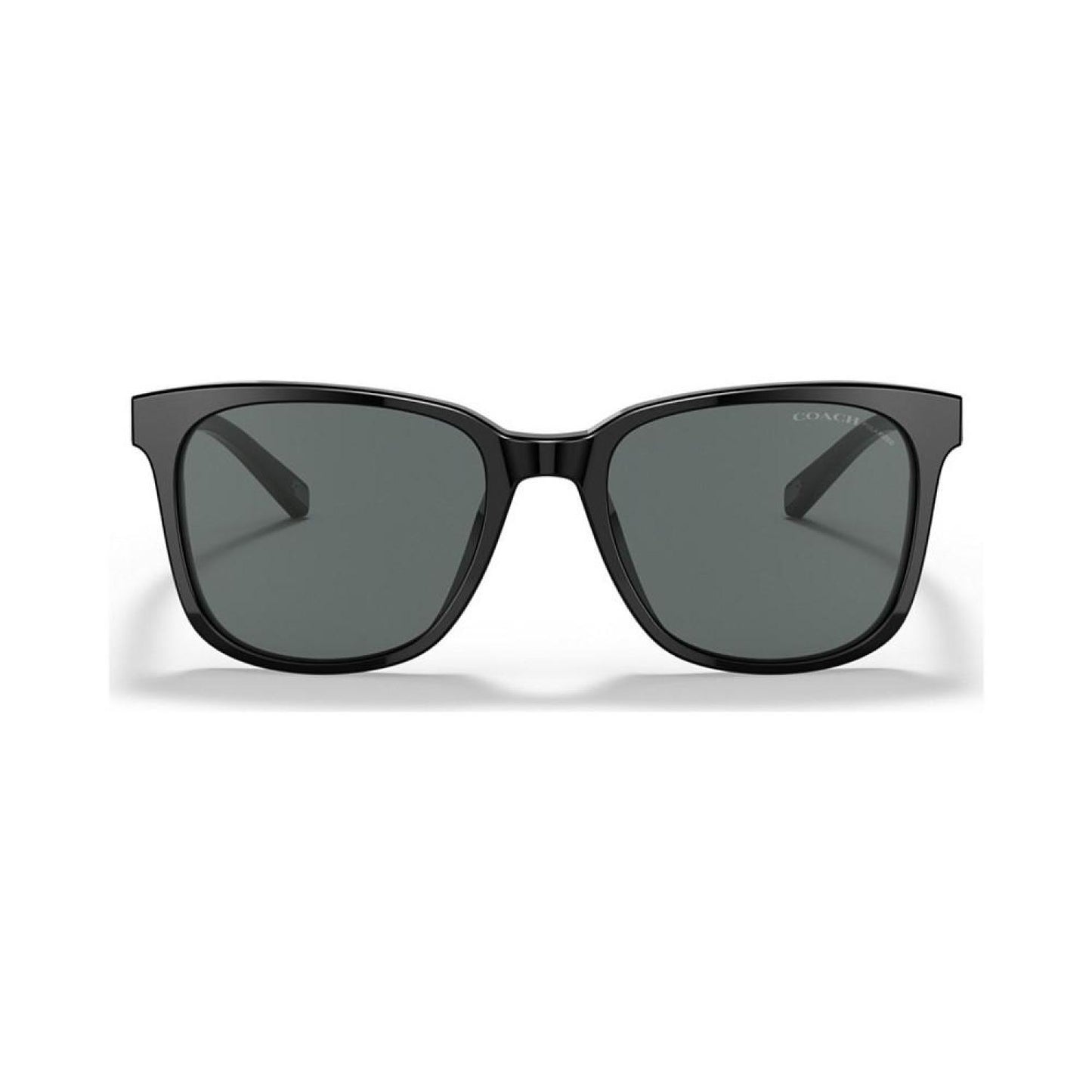 Men's Polarized Sunglasses, C2095