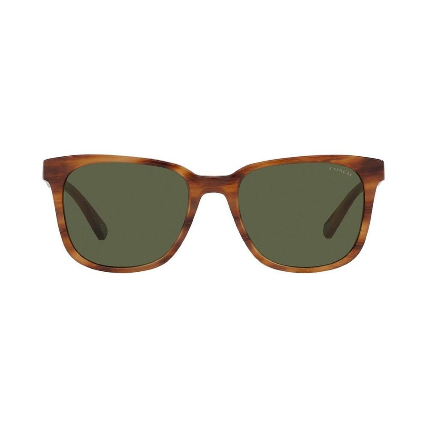 Sunglasses, HC8313U 54 C2095