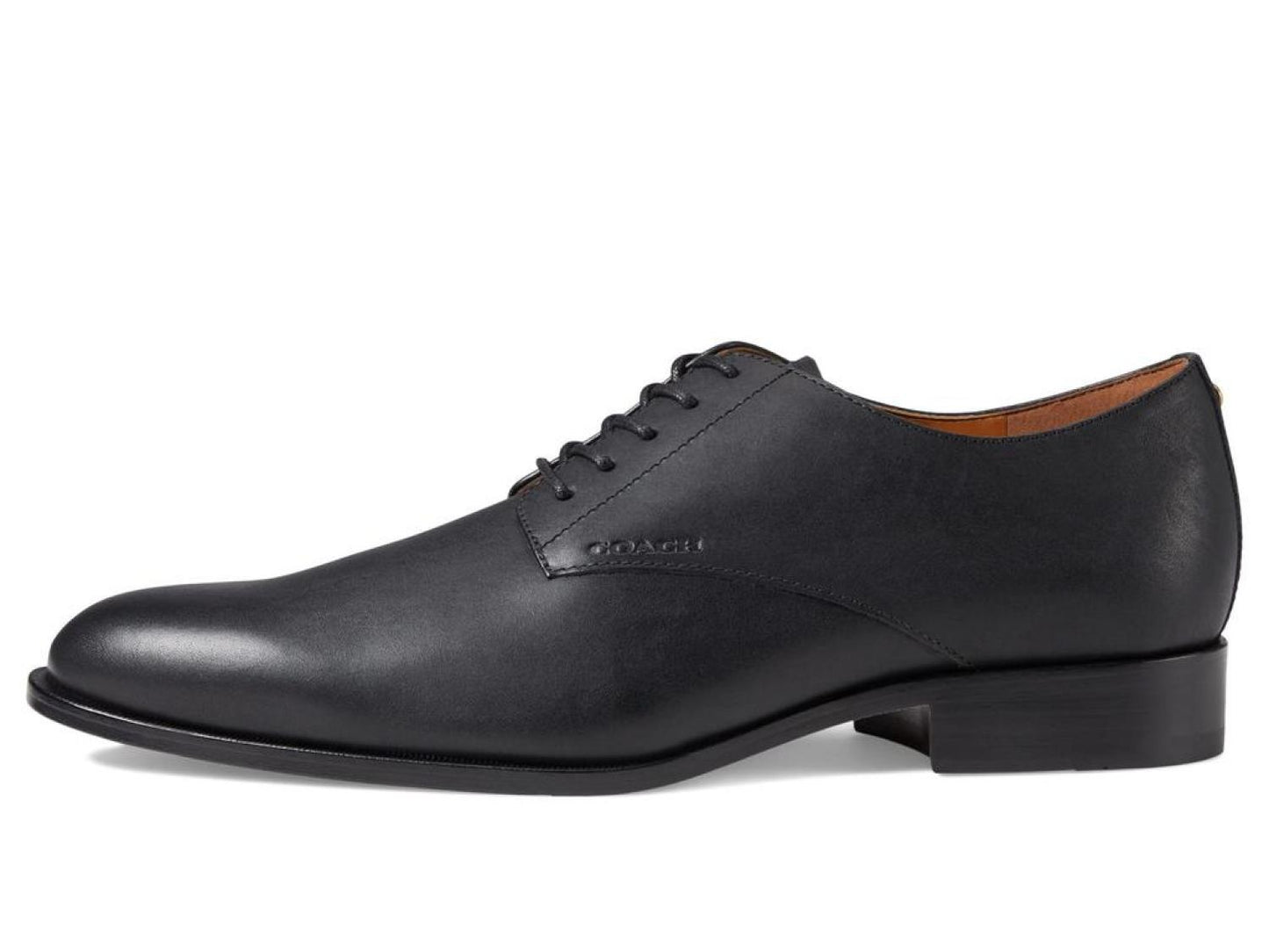 Sculpt C Derby
