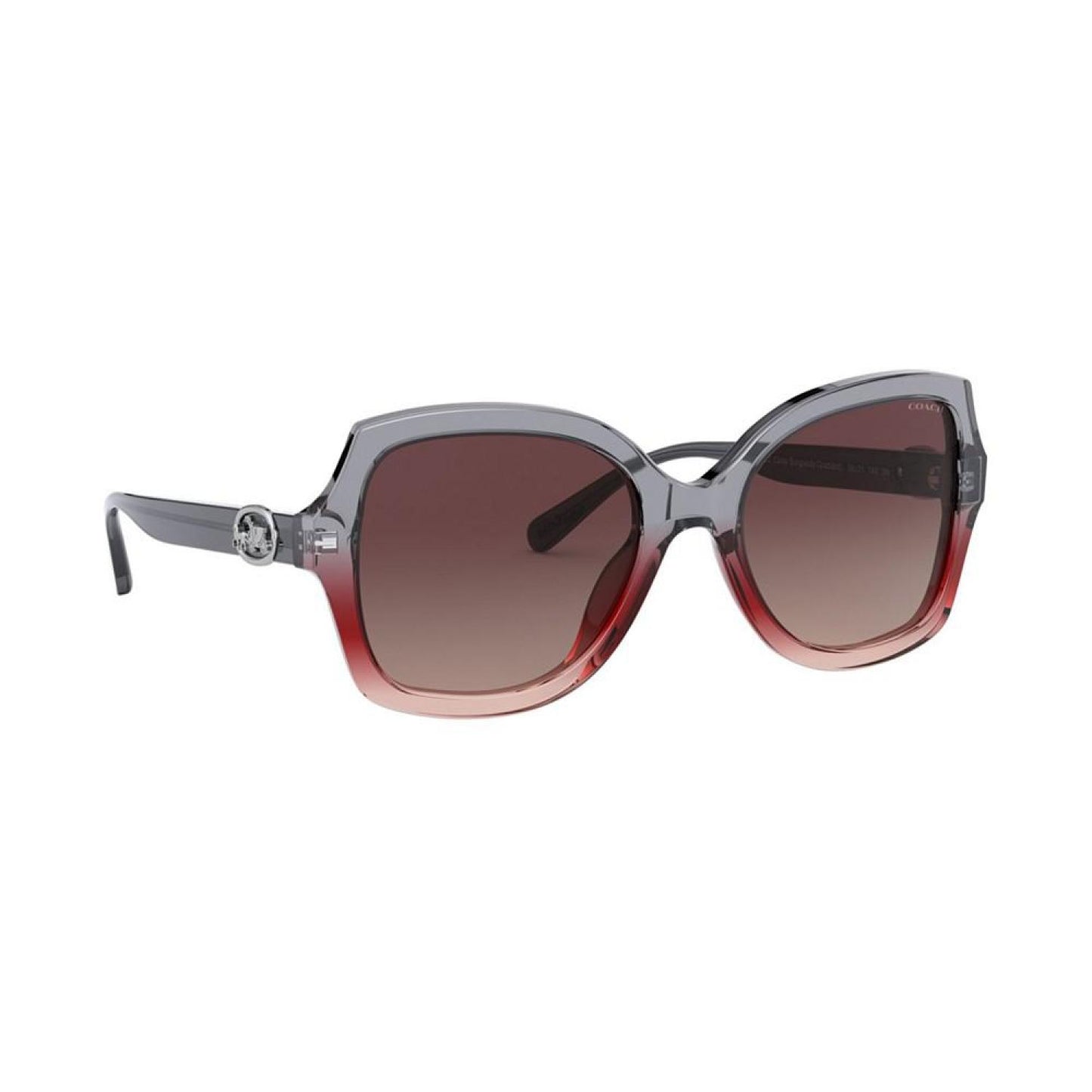 Sunglasses, 0HC8295