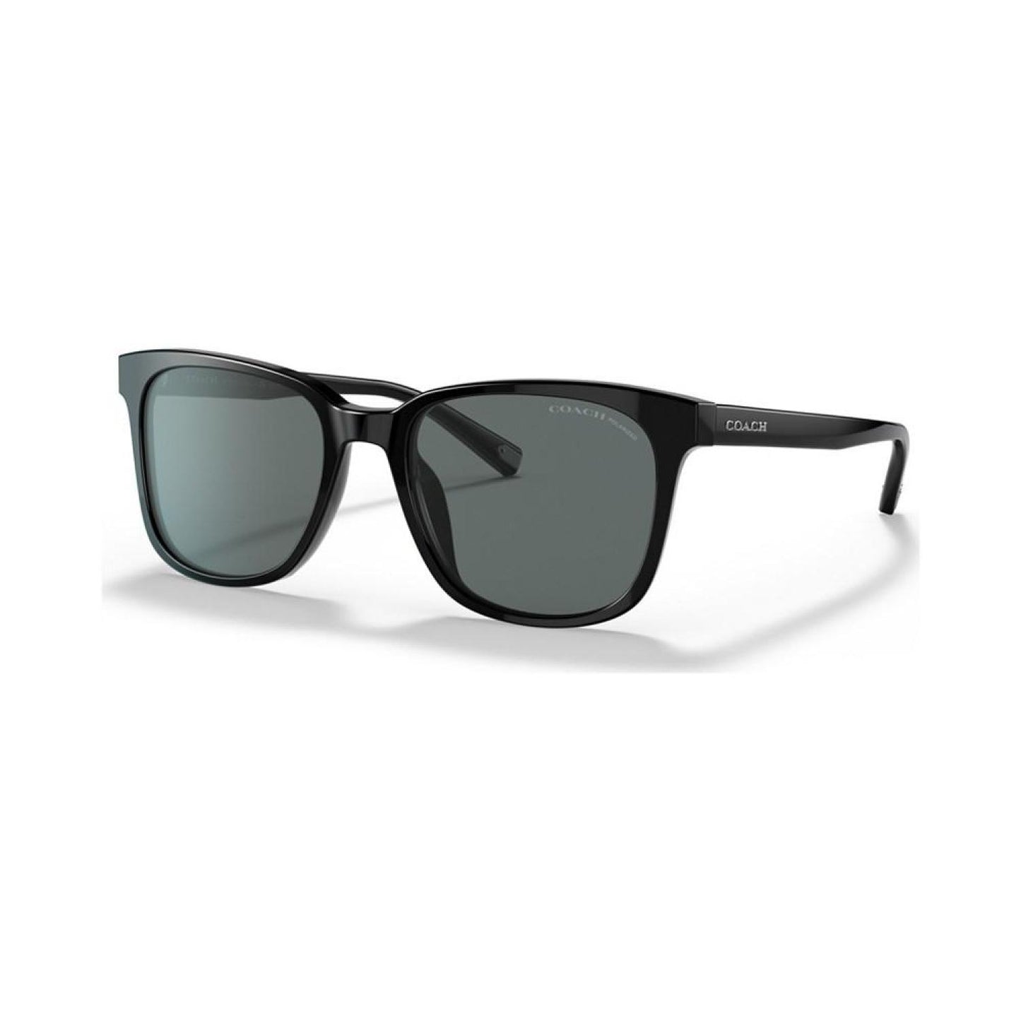 Men's Polarized Sunglasses, C2095