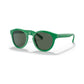 Men's Sunglasses, PH4184