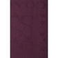 Women's Signature Border Scarf