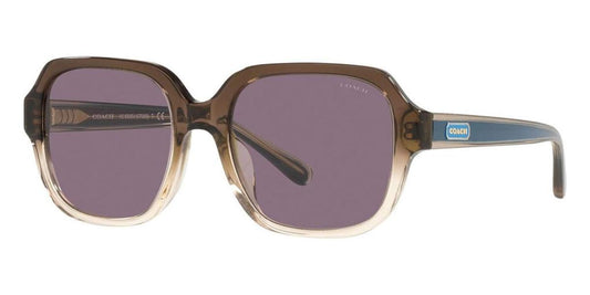 Coach Women's 53mm Transparent Brown Gradie Sunglasses