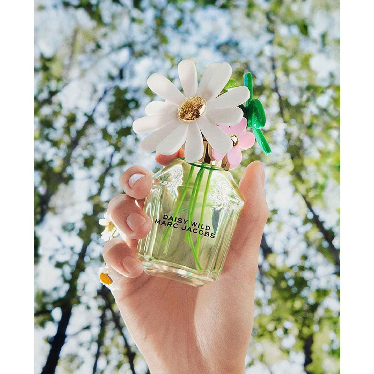 Daisy Wild Eau de Parfum, 1 oz.