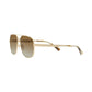 Men's Sunglasses, GG1223S