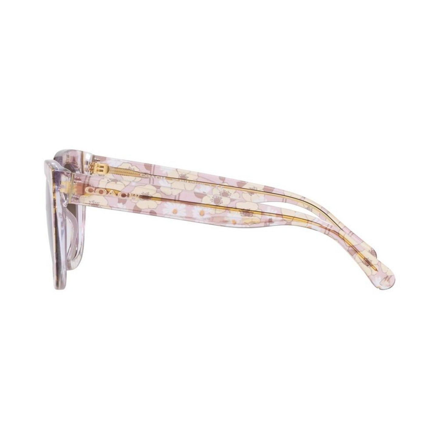 Women's Sunglasses, HC8318 C3449 52