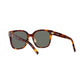 Women's Sunglasses, SL M105/F