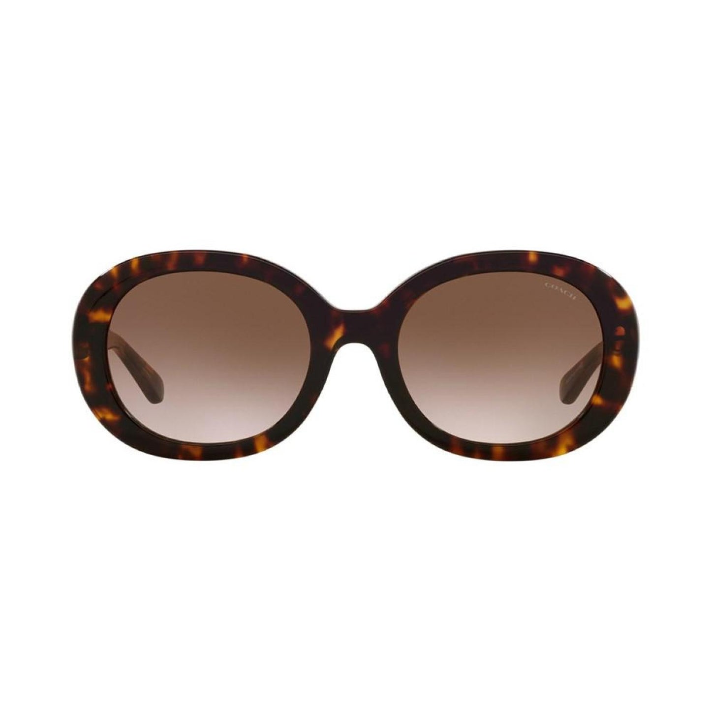 Women's Sunglasses, HC8337U C7992 52