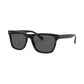 Polarized Sunglasses, 0PH4167