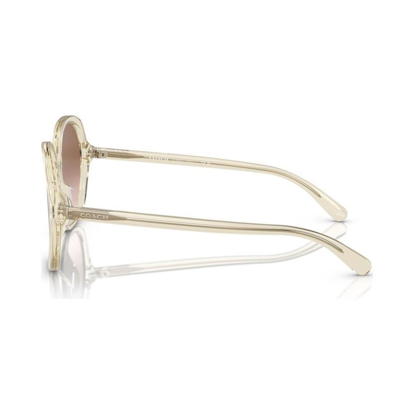 Women's Sunglasses, CH557