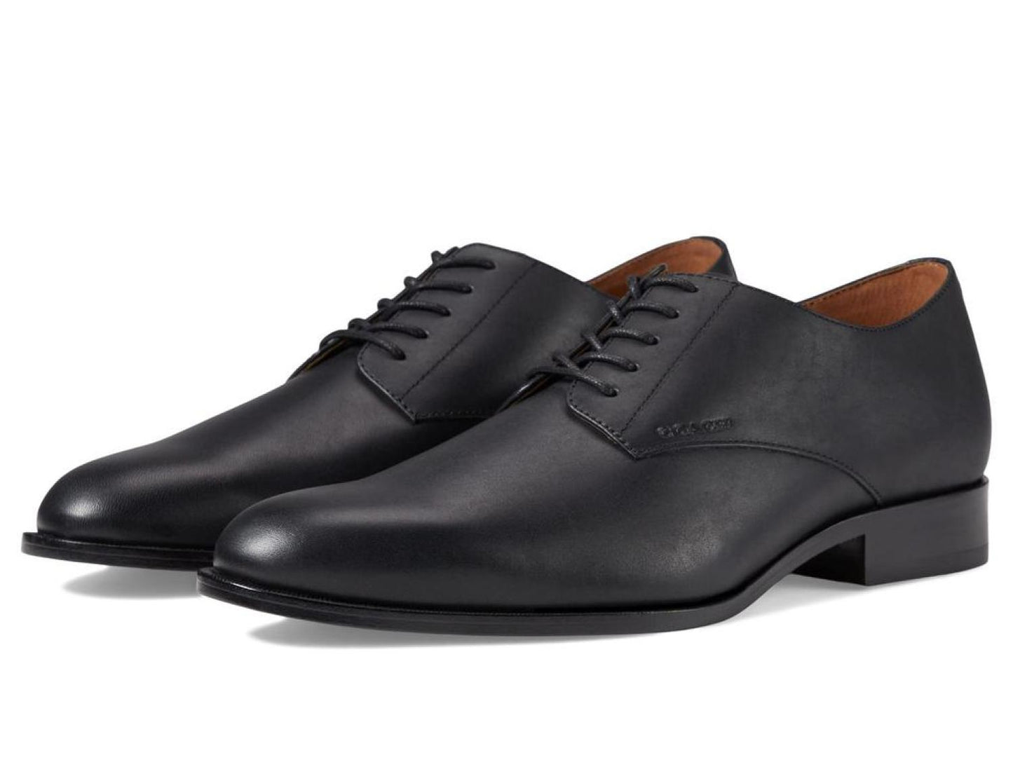 Sculpt C Derby