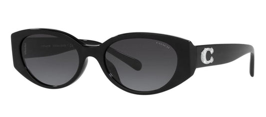 Coach 0HC8353U 50028G Oval Sunglasses
