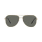 Polarized Sunglasses, 0PR 63XS