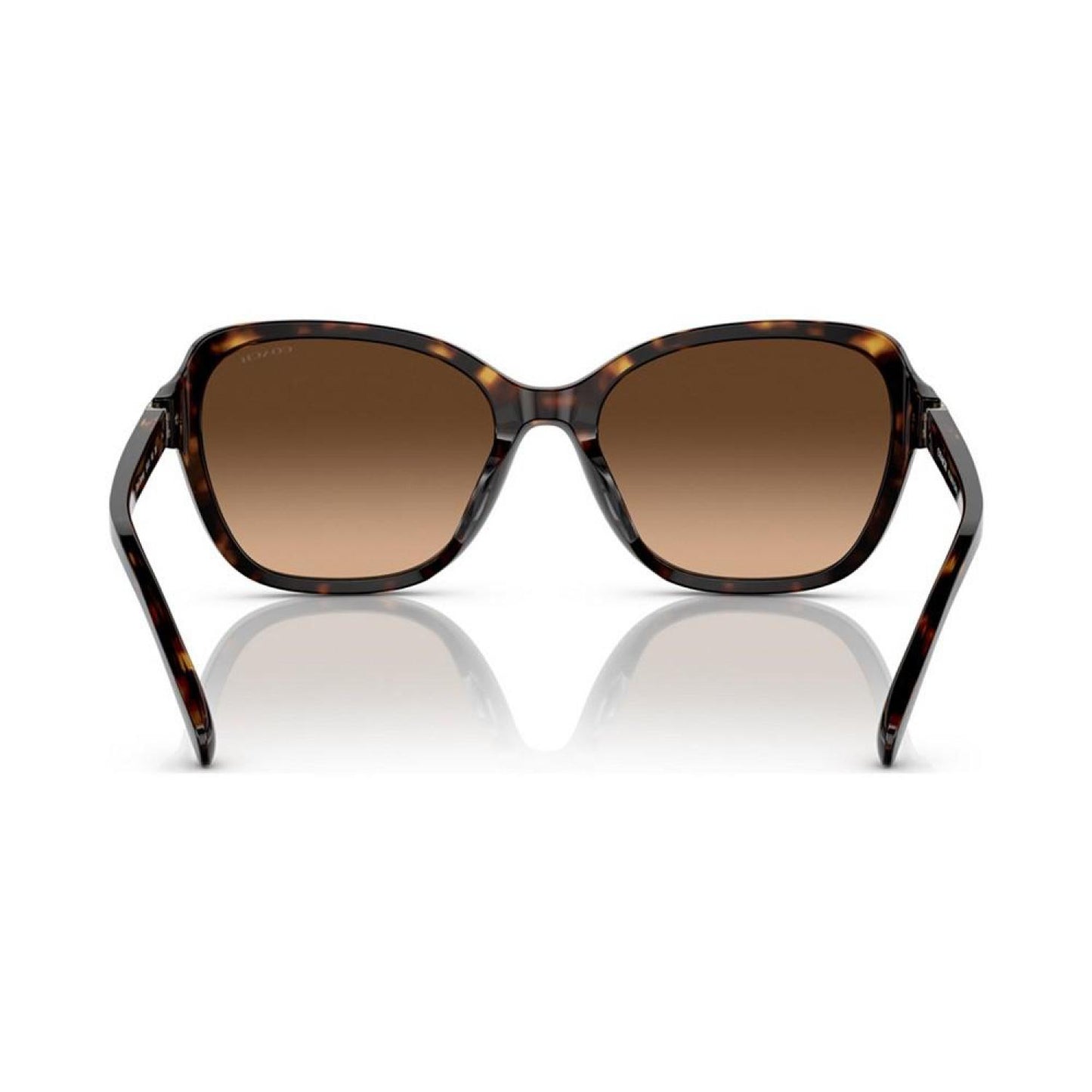 Women's Sunglasses, HC8349U
