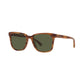 Sunglasses, HC8313U 54 C2095