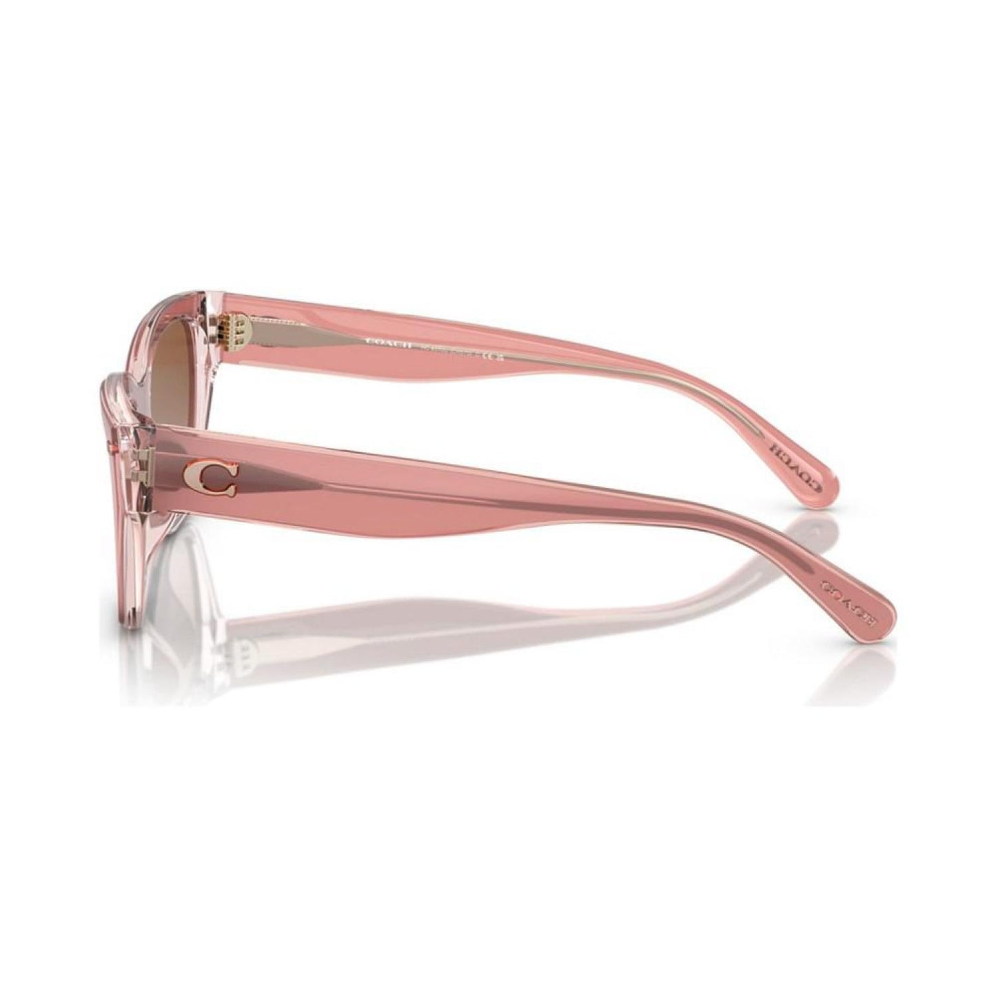 Women's Sunglasses, HC8370U